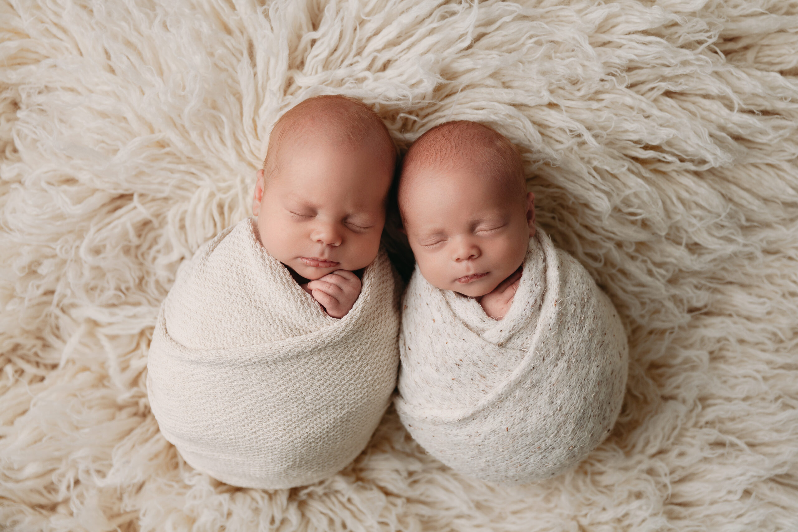 Austin Twin Newborn Photography
